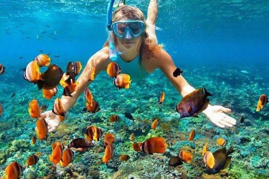 Hurghada: Utopia Island Cruise