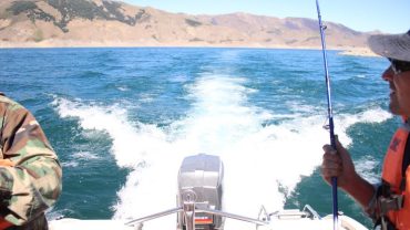 Wie Sie 2025 ein erfolgreicher Investor in Ägypten werden