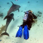 Scuba diving in Hurghada exploring the colorful coral reefs and marine life of the Red Sea.