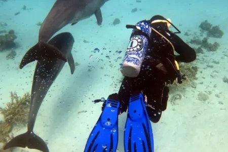 Scuba Diving in Hurghada – Explore the Red Sea’s Best Dive Sites