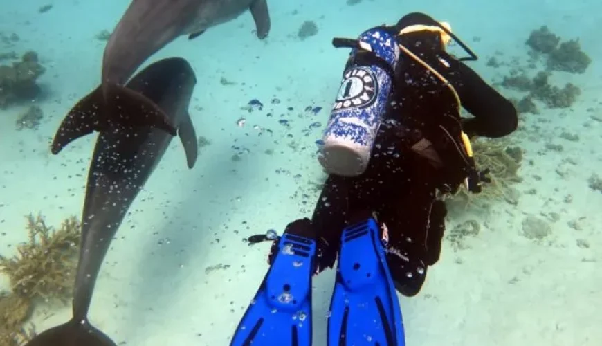 Scuba diving in Hurghada exploring the colorful coral reefs and marine life of the Red Sea.