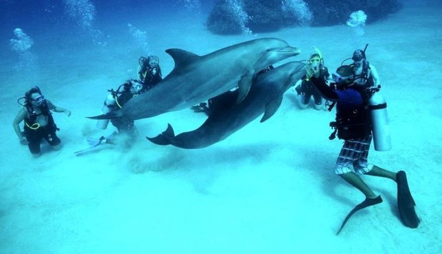 Scuba diving in Hurghada exploring the Red Sea underwater world