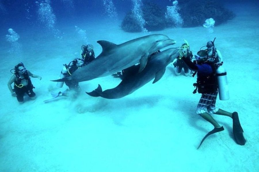 Professional deep diving experience in Hurghada with VIP yacht, coral reefs, and Red Sea underwater adventure