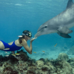 Best Time to Travel showing seasonal destinations and ideal vacation weather conditions