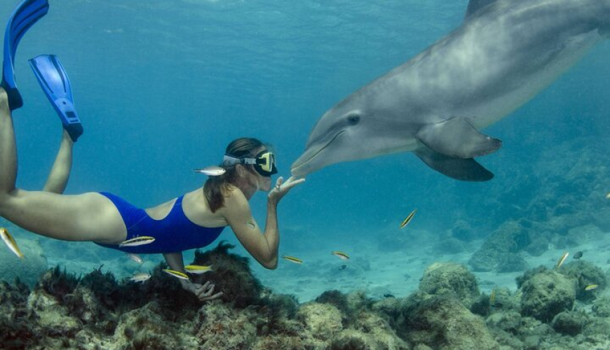 Best Time to Travel showing seasonal destinations and ideal vacation weather conditions