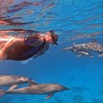 Snorkeling in Hurghada with colorful coral reefs and tropical marine life in the Red Sea