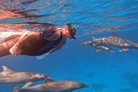 Snorkeling in Hurghada: Best Spots to Explore the Red Sea