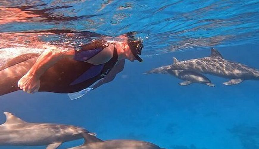 Snorkeling in Hurghada with colorful coral reefs and tropical marine life in the Red Sea