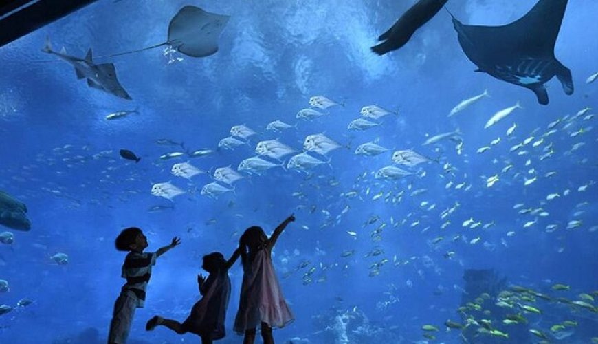 Popular destinations around the world including famous cities, landmarks, and travel attractions in 2026