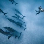Red Sea Travel Guide