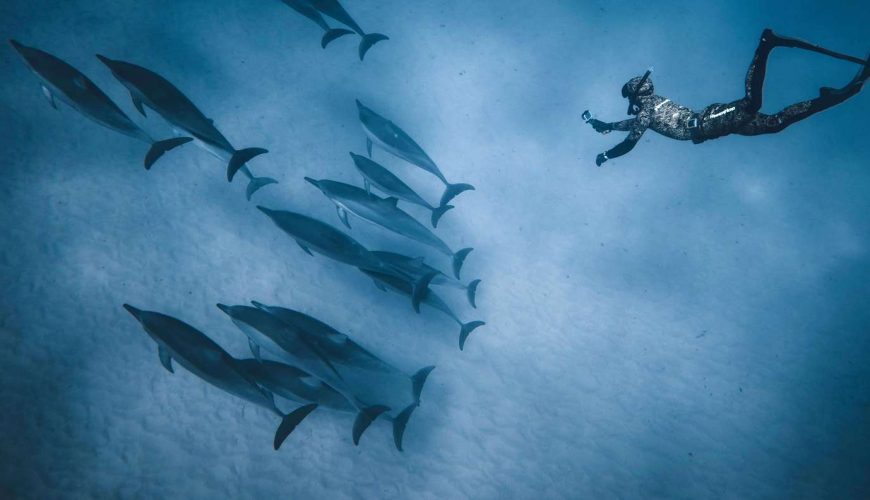 Red Sea Travel Guide
