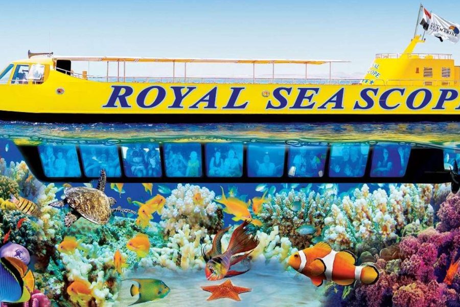 Tourists observing coral reefs and tropical fish through panoramic windows on **Royal Sea Scope Hurghada semi-submarine during underwater Red Sea cruise