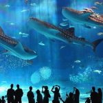 Best excursions in Hurghada