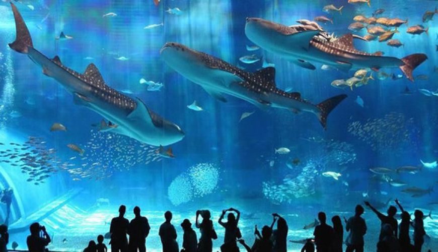 Hurghada Tourism and Red Sea coastal attractions in Egypt