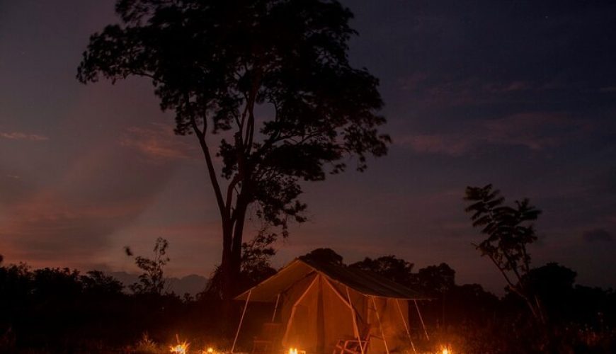 Luxury & Private Tours