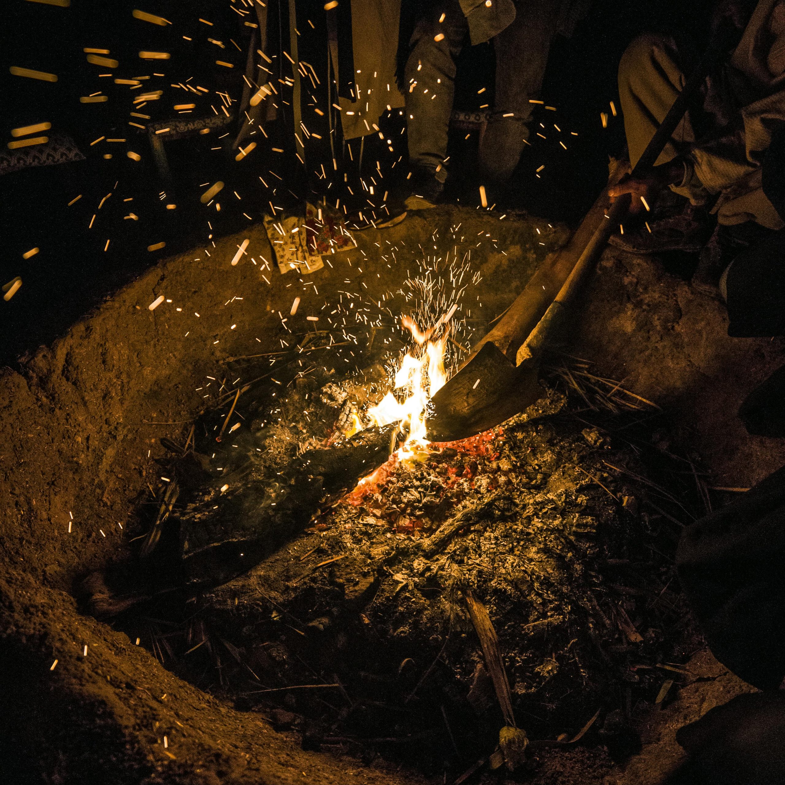 Nightlife & Evening Shows