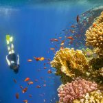 Snorkeling and diving in crystal-clear waters with vibrant coral reefs and colorful marine life