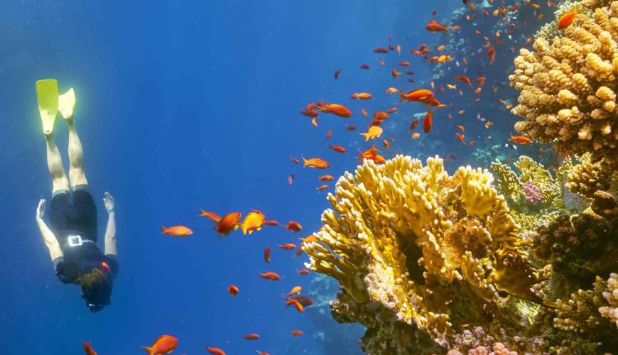 Snorkeling and diving in crystal-clear waters with vibrant coral reefs and colorful marine life