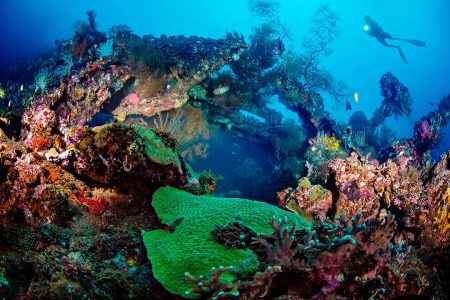 The Ultimate Guide to the Best Diving Destinations in the Red Sea