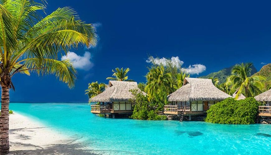 Tropical holidays featuring turquoise waters, white sand beaches, and palm trees under clear blue skies