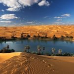 Wildlife safari adventure with animals in their natural habitat