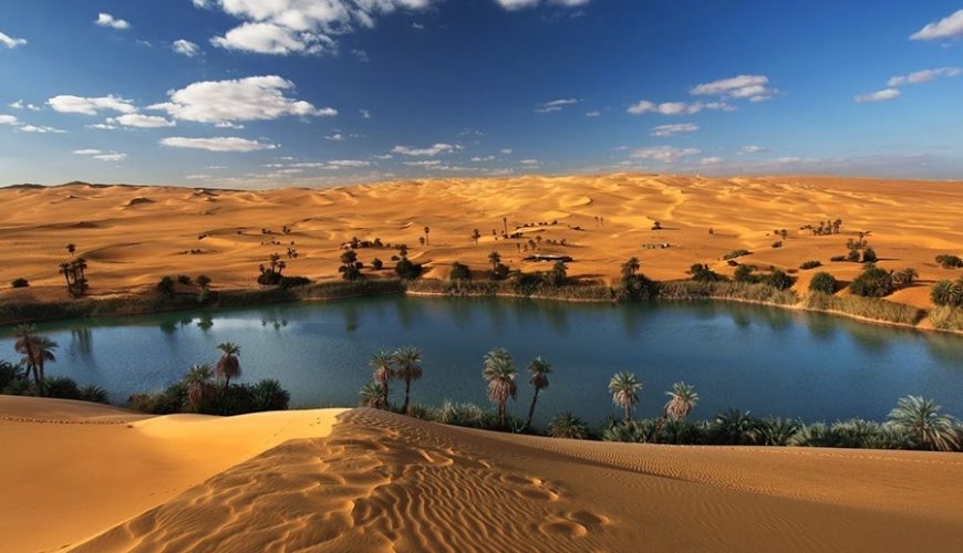 Wildlife safari adventure with animals in their natural habitat