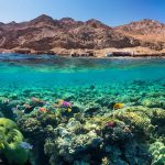 Red Sea Tourism showcasing crystal-clear waters, coral reefs, and luxury beach resorts