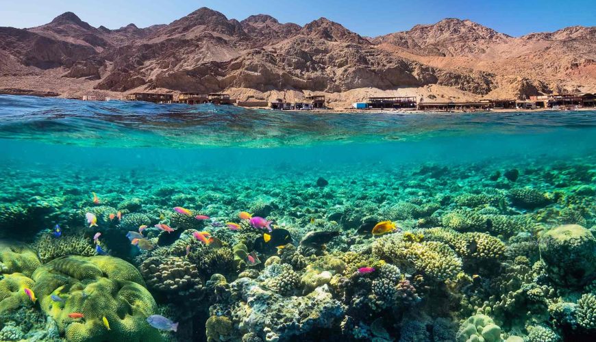 Red Sea Tourism showcasing crystal-clear waters, coral reefs, and luxury beach resorts