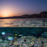 Early booking deals offering discounted vacation packages, hotels, and resort stays for advance travelers