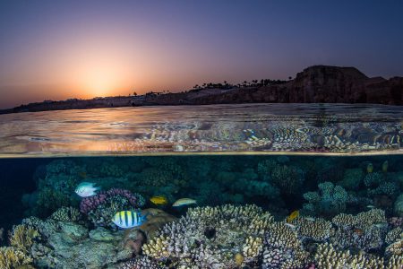 Unlocking Savings: The Benefits of Early Booking Deals for Your Next Travel Adventure