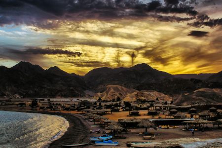 Nwiba 2026 Guide: Everything You Need to Know (Trends, Tips)