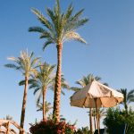 Summer in Egypt with beautiful Red Sea beaches and sunny coastal views