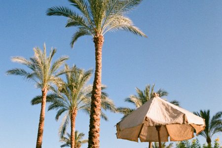 Summer in Egypt: Best Red Sea Destinations, Beaches & Things to Do