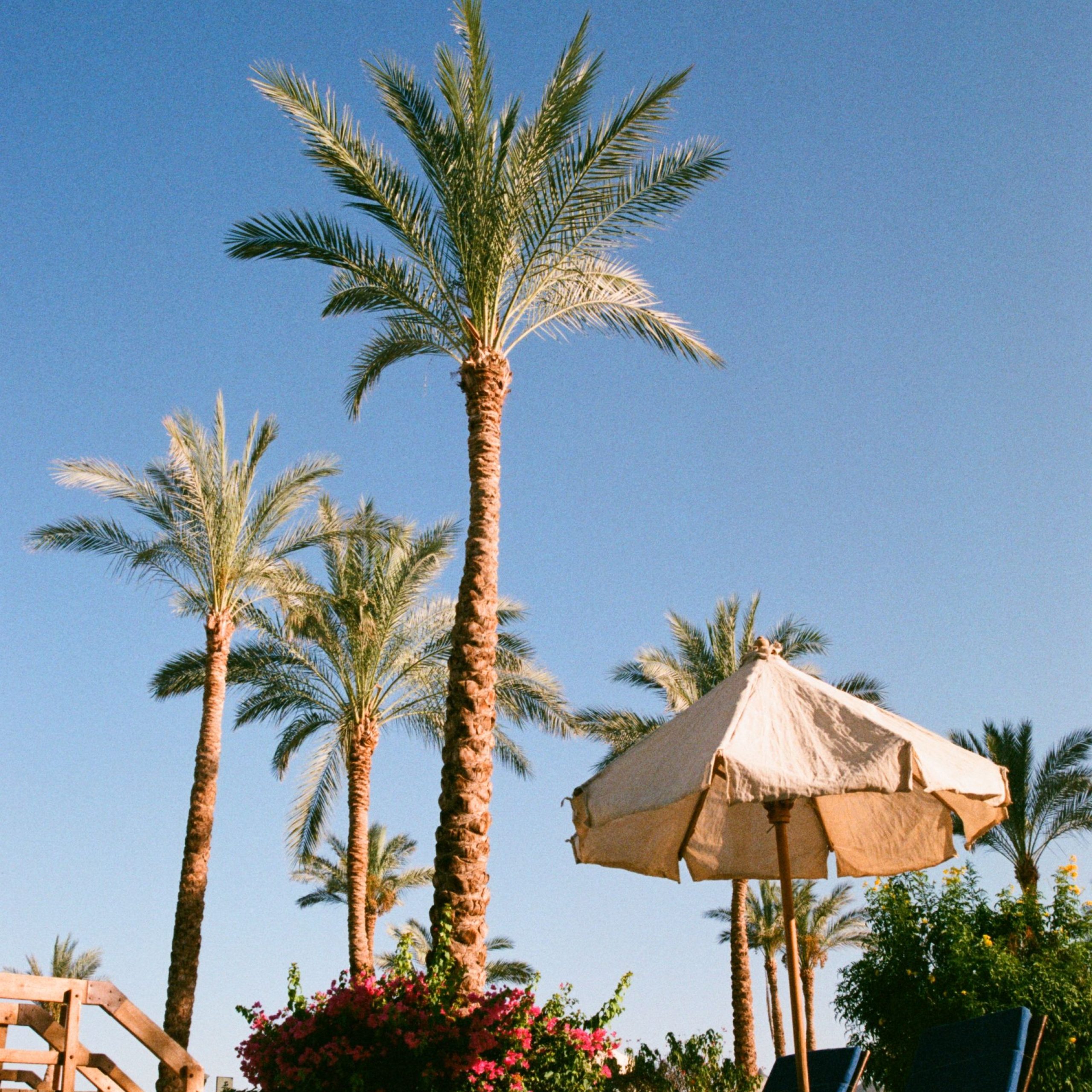 Summer in Egypt with beautiful Red Sea beaches and sunny coastal views
