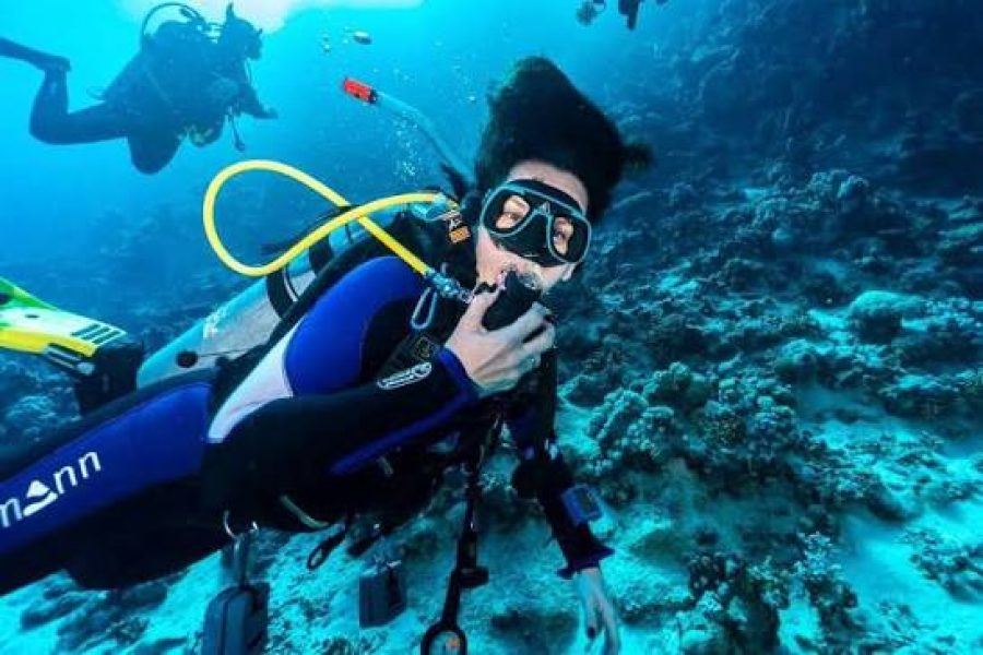 Diving professional  VIP