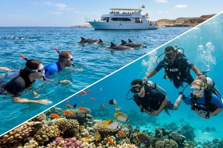 Intro Diving & Dolphin Watching Hurghada: 1 Dive, Snorkeling & Lunch