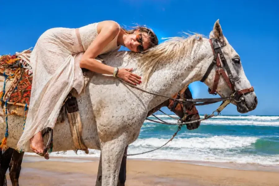 2 Hour Desert and Beach Horse Riding Hurghada