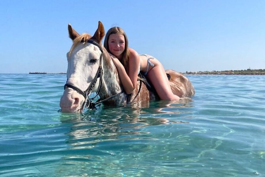 3 Hour Desert Beach Sea Swimming Horse Riding Hurghada