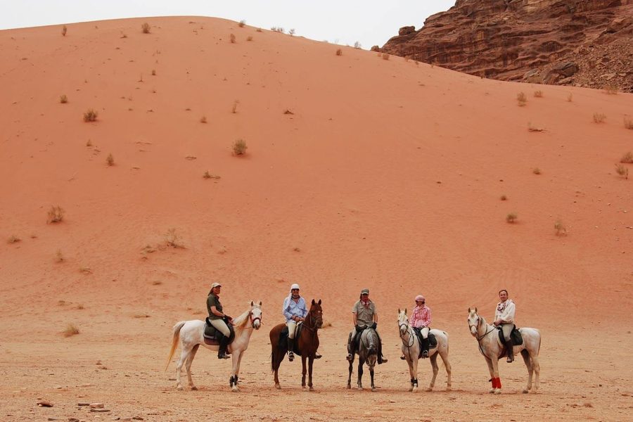 1 Hour Desert Horse Riding Hurghada