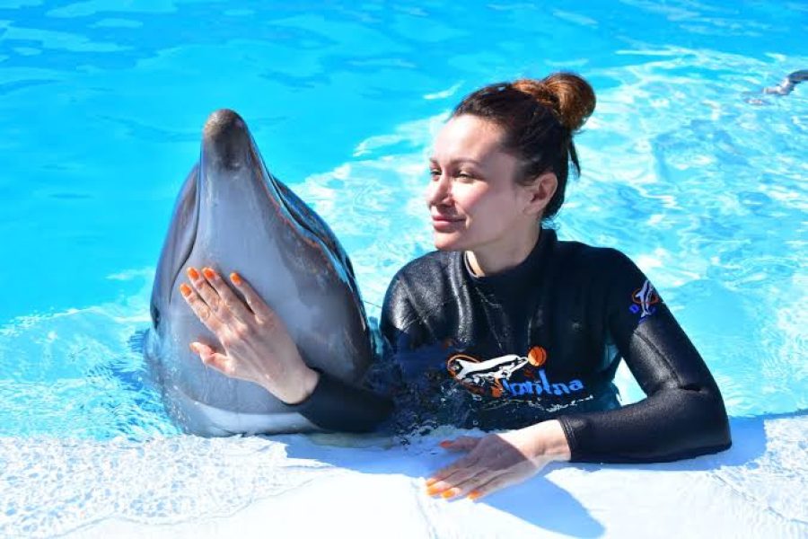 Dolphin Show Hurghada for Egyptians
