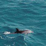 Hurghada excursions and Red Sea activities in Egypt
