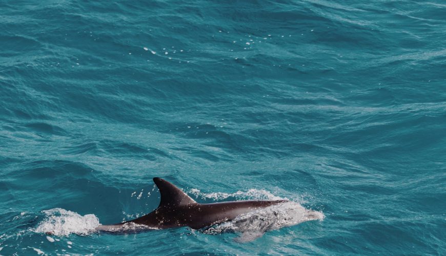 Hurghada excursions and Red Sea activities in Egypt