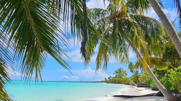 شاطئ رملي ومياه صافية في الغردقة على البحر الأحمر