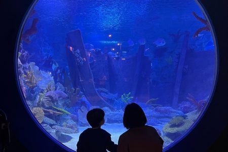 A Sea-Level Escape: What to Expect on the Empire and Espictra Tour