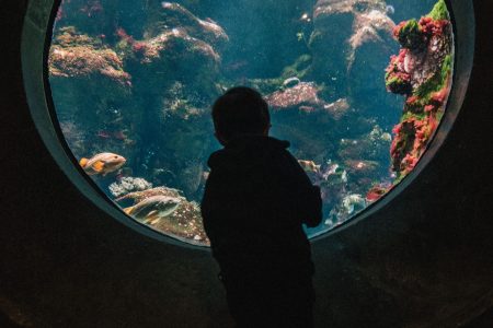 Explore Beneath the Waves: A Submarine and Snorkeling Excursion