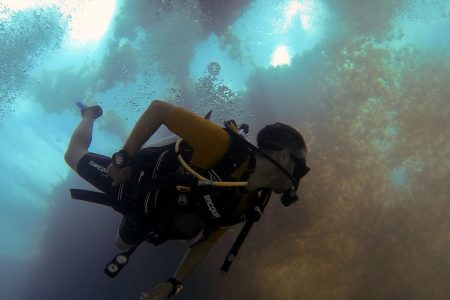 A Two-Stop Diving Day: Depth, Comfort, and Time to Recharge