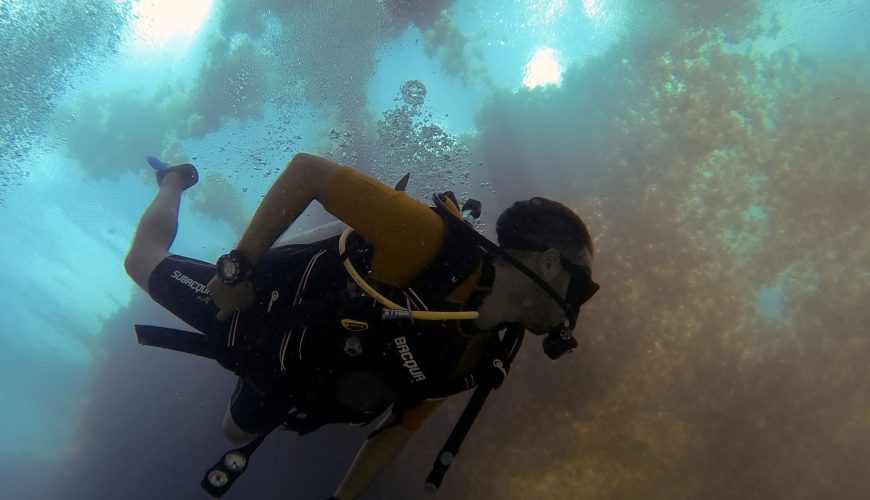 Scuba divers preparing their equipment for a two-stop diving excursion in the Red Sea with professional crew support.