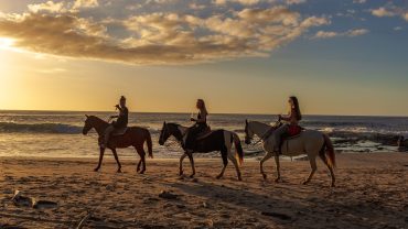 Horseback riders exploring the desert, riding along a sandy beach, and entering the Red Sea during a horse riding tour in Hurghada.