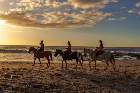 3-Hour Desert, Beach & Sea Horse Riding in Hurghada