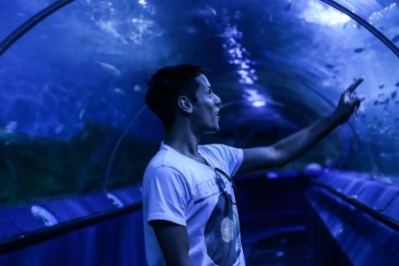 Three Hours Beneath the Surface: An Aquatic Adventure